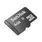 Micro SD Card (4GB)